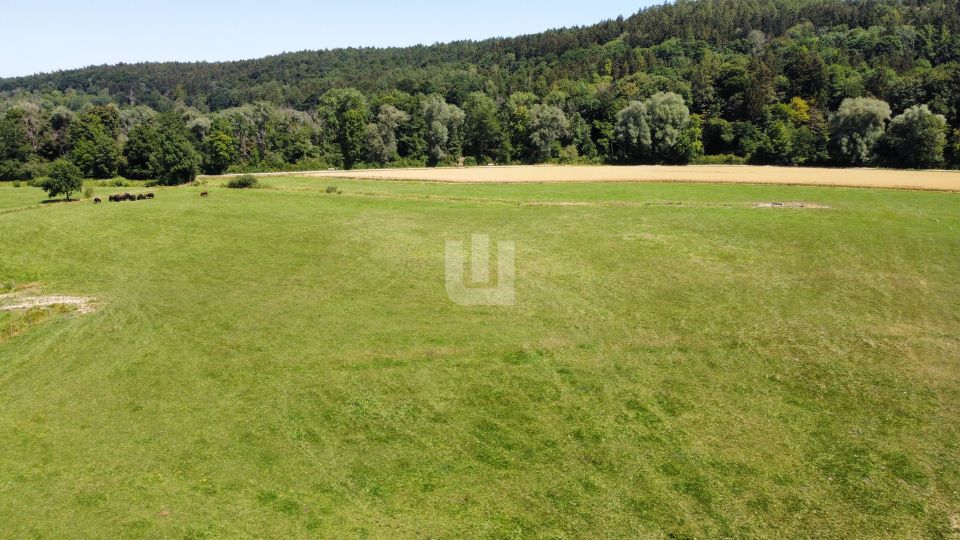 WINDISCH IMMOBILIEN - Bauträger aufgepasst: Grundstück als Ausgleichsfläche für Bauvorhaben in FFB! in Fürstenfeldbruck