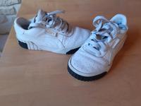 Puma carina Rheinland-Pfalz - Mendig Vorschau