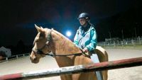 Suche Reitbeteiligung - Mensch sucht Pferd Nordrhein-Westfalen - Herne Vorschau