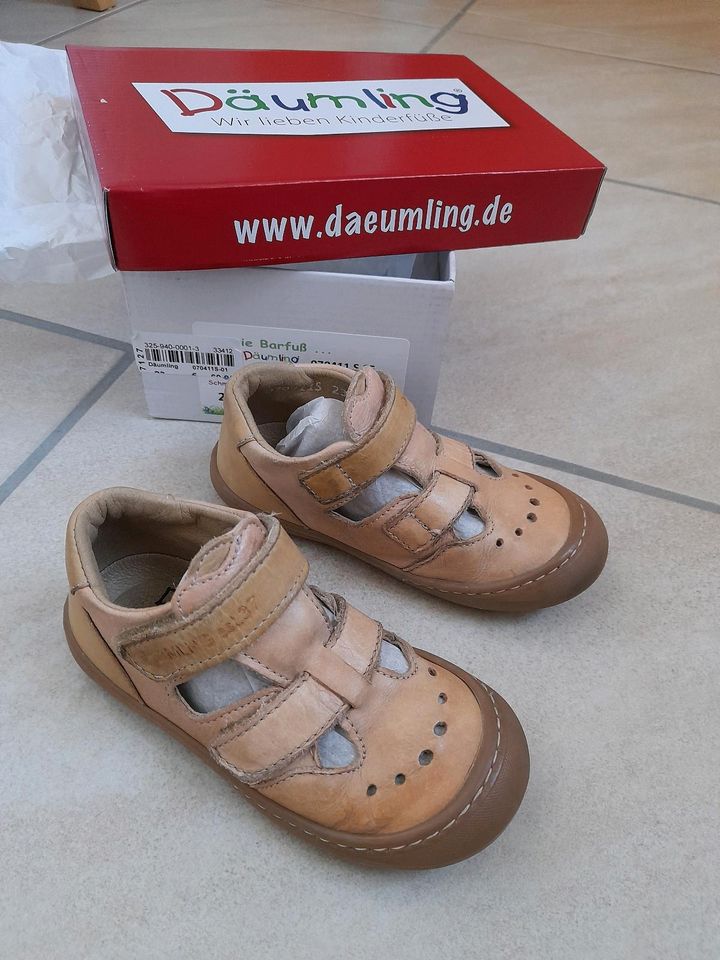 Leder Sandalen Däumling in Rietberg