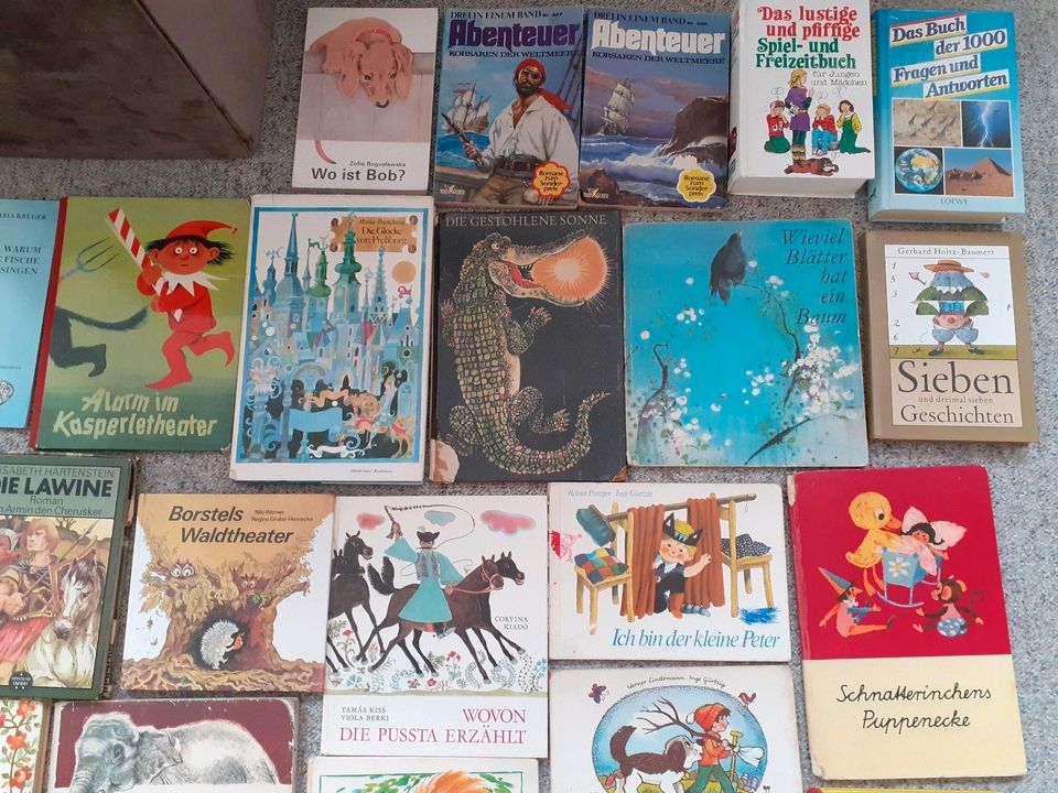 DDR KINDERBÜCHER JUGENDBÜCHER Riesiges Konvolut in Freiberg