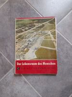 Westermann-Weltatlas von 1960, antik Schleswig-Holstein - Schafstedt Vorschau