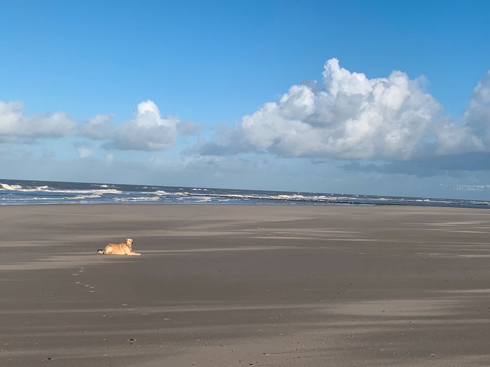 09.07.-13.07  Sommerferien/08.09-16.9 neues Chalet direkt am Wattenmeer Nordsee Holland Niederlande in Warburg