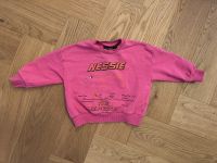 Mini Rodini Pullover Sweatshirt pink Nessie 92 98 Nordrhein-Westfalen - Bad Lippspringe Vorschau