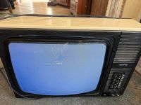 Robotron Color-Vision RC 6093 Fernseher voll funktionsfähig Brandenburg - Peitz Vorschau