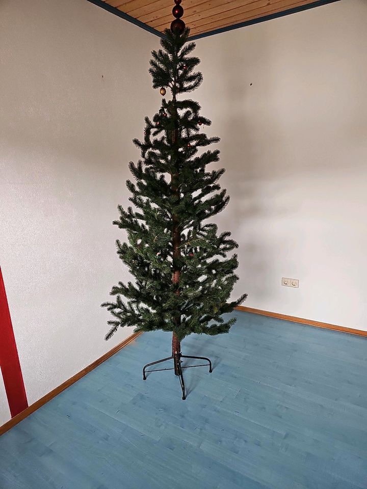 Weihnachtsbaum  Künstlich in Großkarolinenfeld