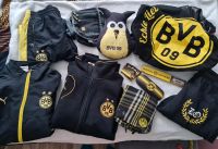 BVB FAN ARTIKEL M L Sachsen-Anhalt - Wanzleben Vorschau