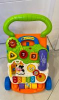 VTech Baby Spiel- und Laufwagen, Lauflernwagen Sachsen-Anhalt - Genthin Vorschau