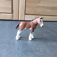 Schleich Clydesdale Jährling Brandenburg - Cottbus Vorschau