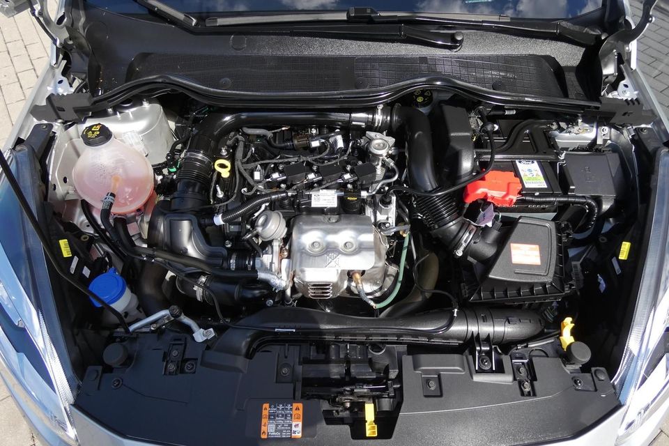 Ford Fiesta 1.0 'Titanium' #PDC #APPLINK #SITZHZG in Radebeul