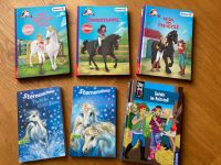 Schleich Horse Club Bücher, Sternenschweif, die drei !!! Baden-Württemberg - Reutlingen Vorschau