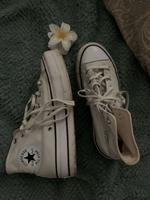 Converse white Brandenburg - Prenzlau Vorschau