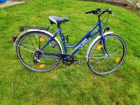 Fahrrad Damenrad Staiger Stadtrad Citybike 28 Zoll 21 Gänge Bayern - Laugna Vorschau