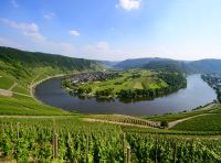 Campingplatz oberhalb der Mosel Rheinland-Pfalz - Traben-Trarbach Vorschau