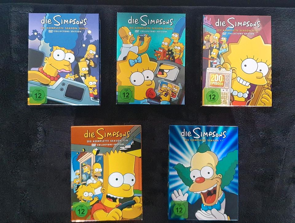 Die Simpsons Dvd's Staffel 1-17 in Minden