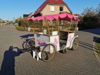 Prinzessinnen Kutsche Niedersachsen - Tülau Vorschau
