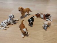 3 Schleich Hunde und 3 Welpen Rheinland-Pfalz - Gebhardshain Vorschau