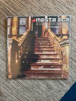 Masta Ace Vinyl a long hot summer Instrumentals Sachsen-Anhalt - Thale Vorschau