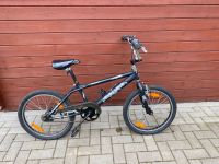 BMX Fahrrad 20 Zoll Kreis Ostholstein - Bad Schwartau Vorschau