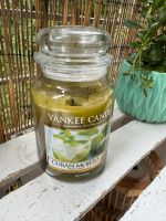 Yankee Candle Cuban Mojito 623g Tumbler NP 37 EUR Leipzig - Leipzig, Zentrum-Ost Vorschau