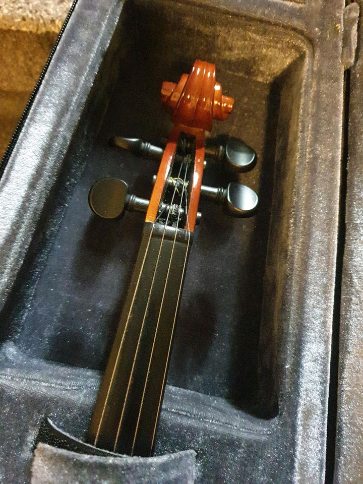 Violine Neu in Augsburg
