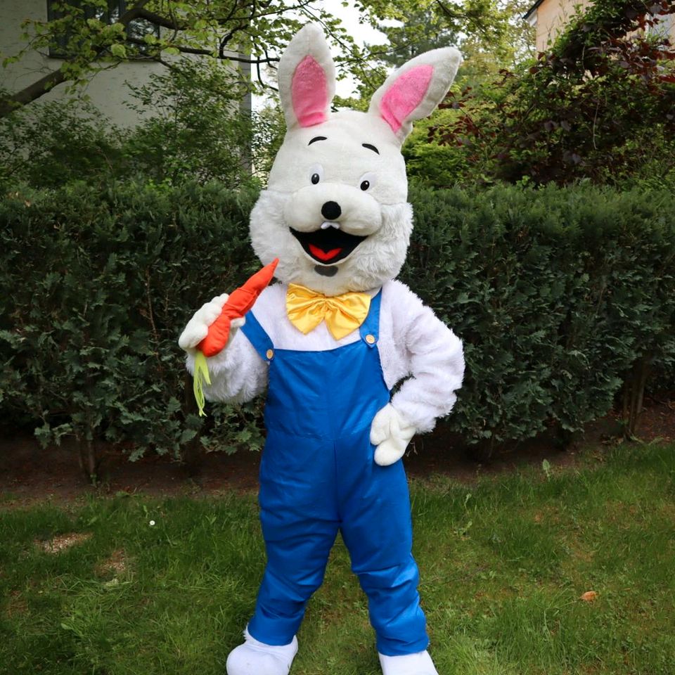 Hase Maskottchen Kostüm Geburtstag Kita Fasching Osterhase in Berlin