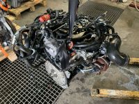 MOTOR AUDI A5 Q5 2,0 TDI CGL CGLB CGL CGLA CGLC  KOMPLETT 128 TSD Hessen - Körle Vorschau