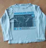 Langarmshirt Gr.122/128 Dino Sachsen - Frohburg Vorschau