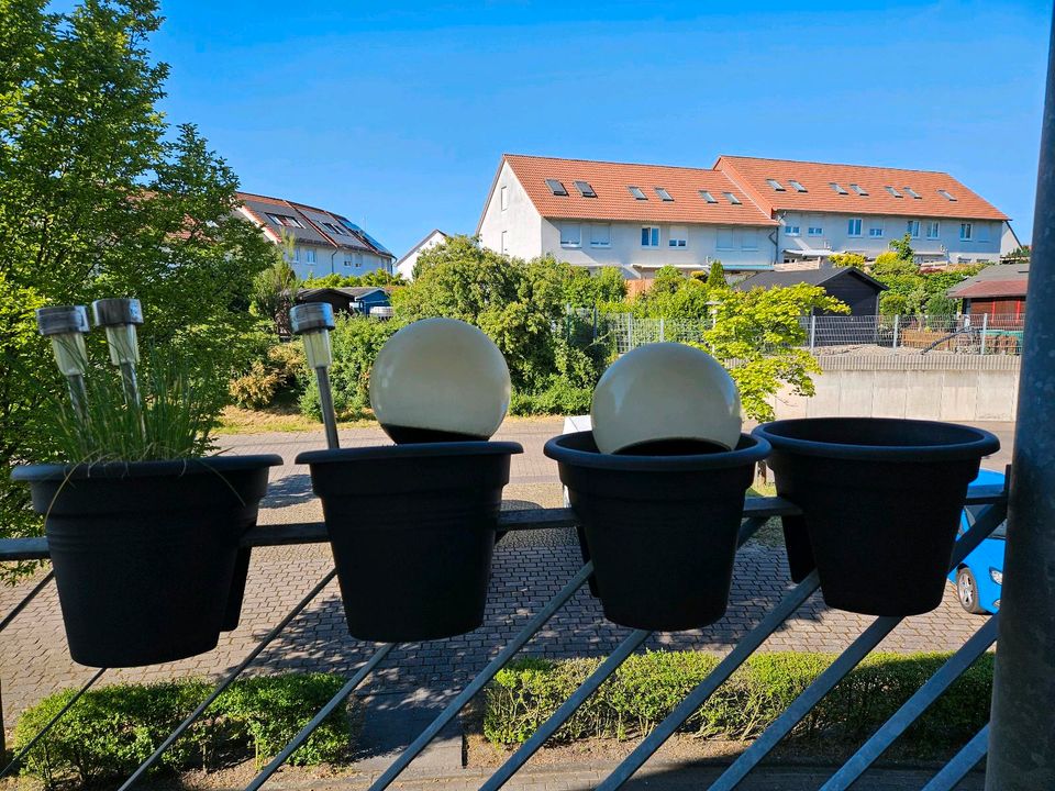 Balkon Pflanzkübel Pflanzentopf Topf Blumentopf in Wolfsburg