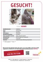 Katze Henry vermisst Hessen - Fernwald Vorschau