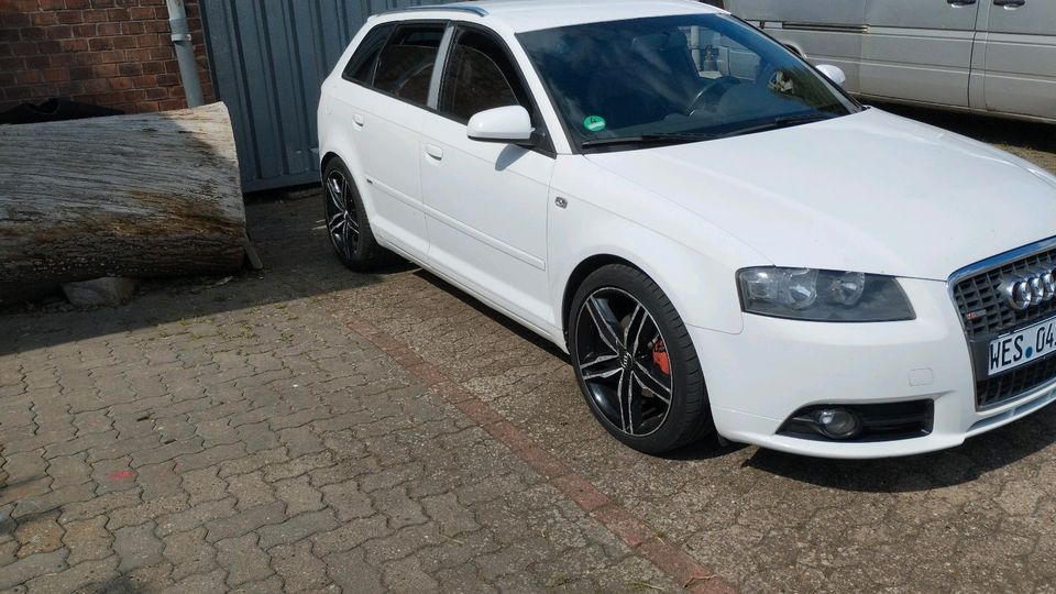 Audi A3 sLine 2 L TDI in Bückeburg