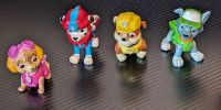 Paw Patrol - Sky, Marshall, Rubble und Rocky Frankfurt am Main - Preungesheim Vorschau