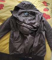 Umstandsjacke Sachsen-Anhalt - Halle Vorschau
