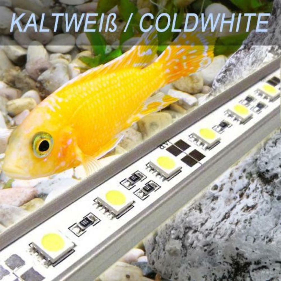 LED-AQUARIUMBELEUCHTUNG POWERLED EASY 30CM SONNE MOND HQI T8 in Bayern -  Neuching | Aquarium und Aquaristikzubehör günstig | eBay Kleinanzeigen ist  jetzt Kleinanzeigen