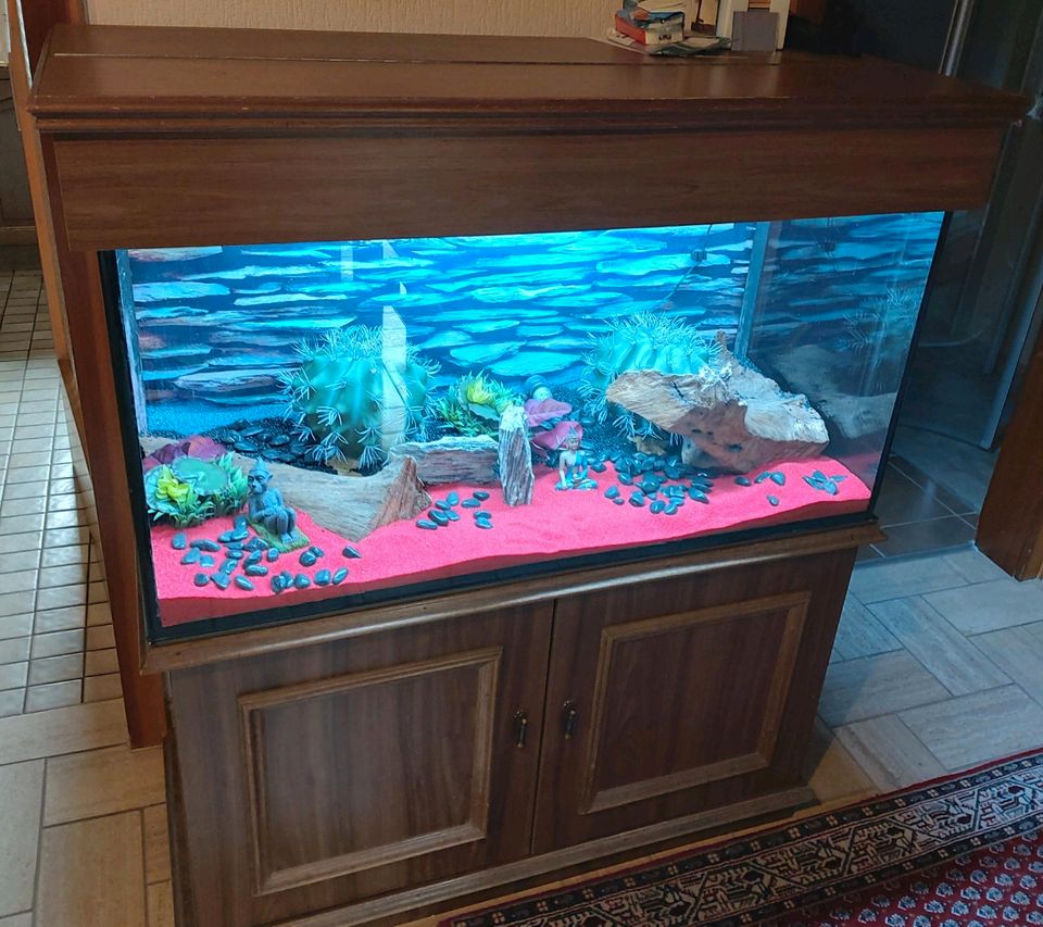 Aquarium+Schrank+Abdeckung und Licht in 66287 Quierschied in Quierschied