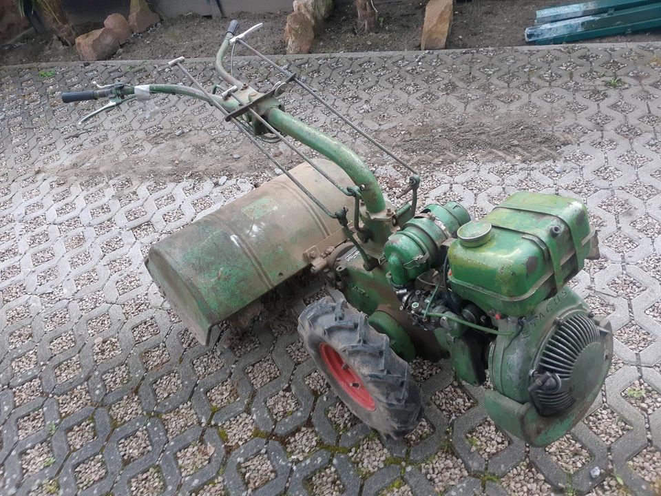 Holder Fräse Ackerfräse Einachsschlepper in Speyer