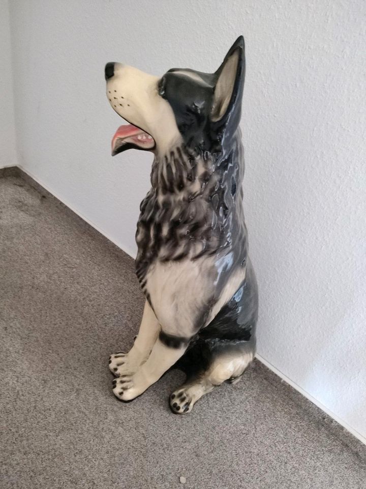 ❤️ Schäferhund aus GFK ❤️ in Schornsheim