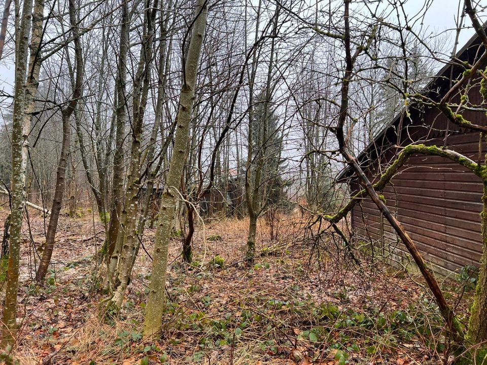 Schönes Baugrundstück am Ochsenkopf-Süd ca. 400m vom Lift in Warmensteinach