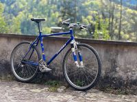 Stevens Retro MTB hardtail 26 Zoll Stahl XT Kult Baden-Württemberg - Heidelberg Vorschau