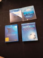 Sharkwater mit Pappeschuber und Deep Blue Neustadt - Buntentor Vorschau