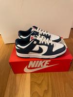 Nike Dunk Low Retro Blue Valerian 40,5 Hessen - Ober-Ramstadt Vorschau