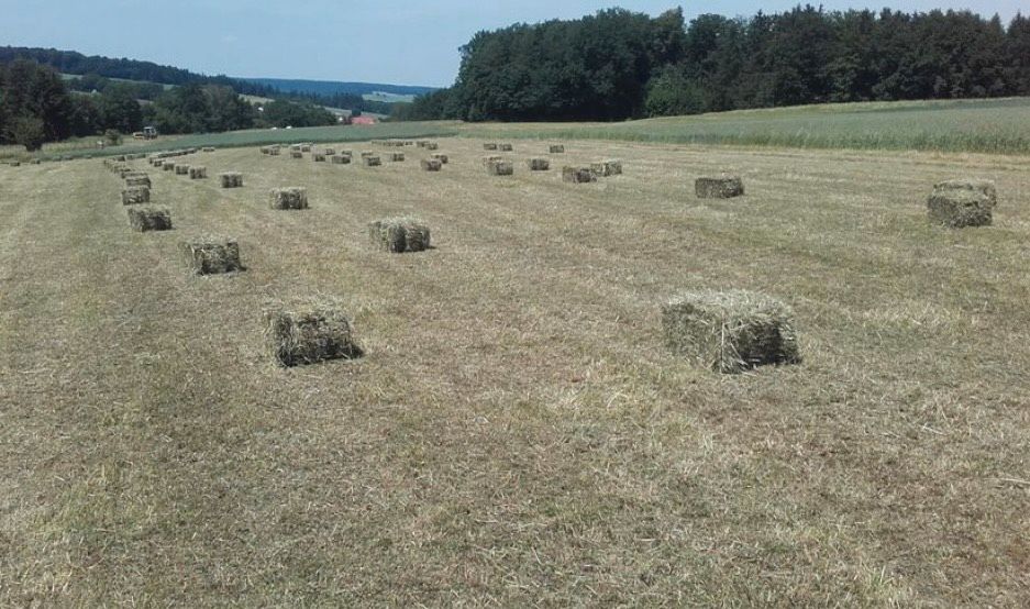 Jetzt HD Heu Ballen vorbestellen Ernte 2024 in Wadern