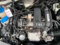 CBZ Motor 1.2 TSI Seat Leon VW Golf Engine 142TKM Rheinland-Pfalz - Plaidt Vorschau