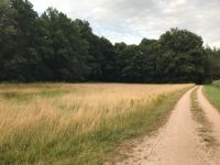 Wochenendgrundstück am kleinen Bachlauf für Naturliebhaber. Bayern - Gunzenhausen Vorschau