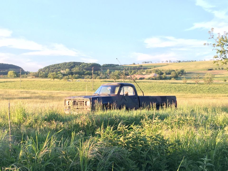 Dodge D200 M890 US-Army Pick-Up 318cui 5,2 V8 LA in Hanau