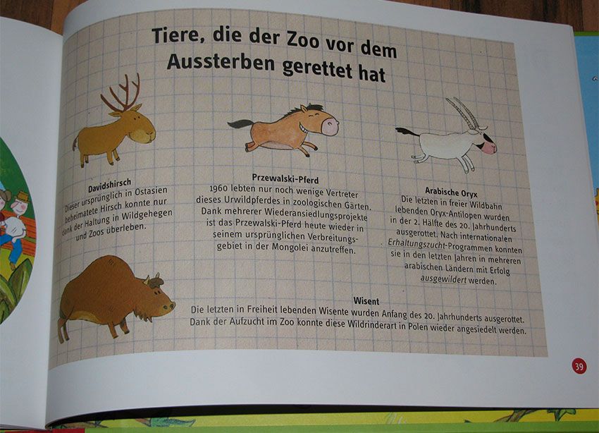 Kinderbuch Buch Aufregung im Zoo lesen Rätsel Kinder Bildung NEU in Sankt Julian