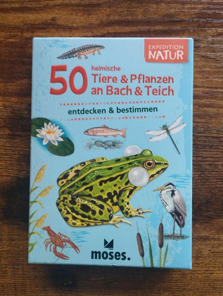 50 heimische Tiere & Pflanzen an Bach & Teich Expedition Natur in