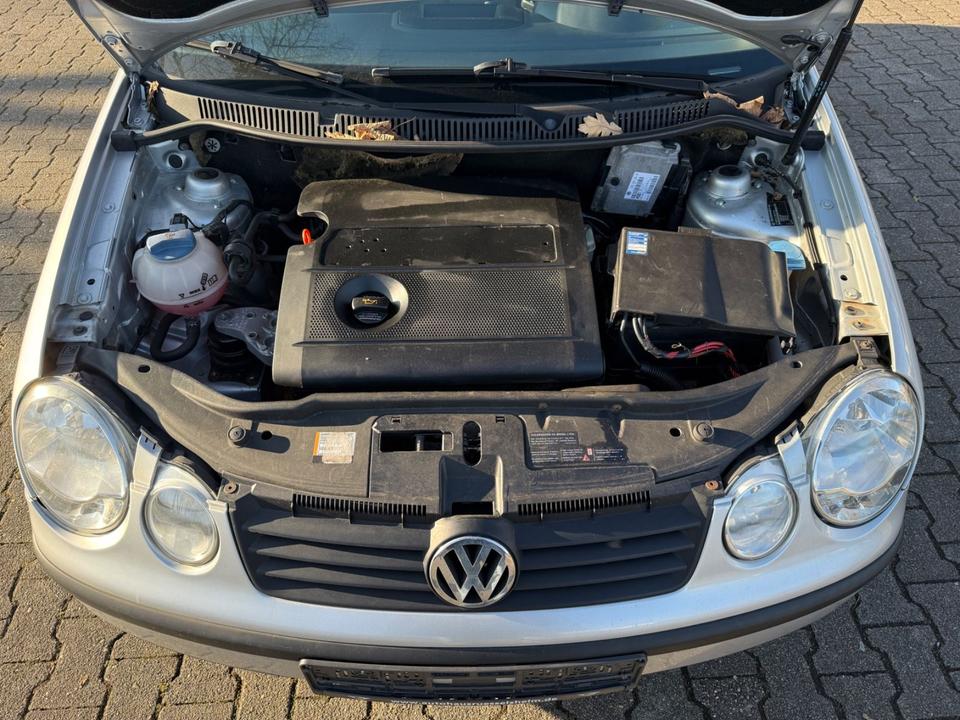 Volkswagen Polo IV 1.4 Basis*TOP ANGEBOT*TÜV/ASU NEU*TOP* in Rüsselsheim