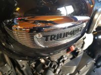 Triumph T100 black Schalldämpfer links Nordrhein-Westfalen - Wesel Vorschau