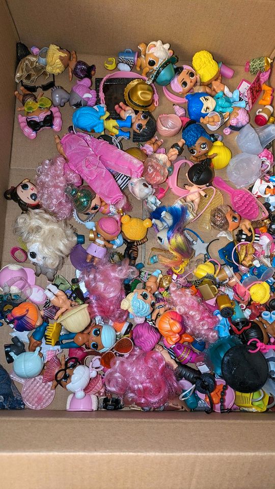 Lol surprise Tiere Puppen Sammlung mit Dosen u d viel Zubehör in Witzenhausen
